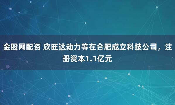 金股网配资 欣旺达动力等在合肥成立科技公司，注册资本1.1亿元