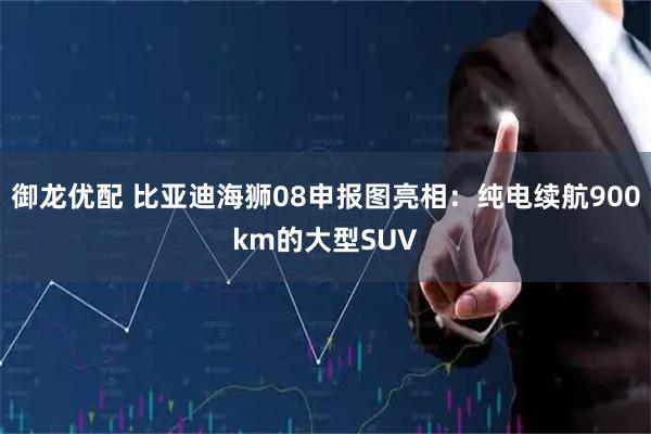 御龙优配 比亚迪海狮08申报图亮相：纯电续航900km的大型SUV